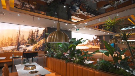 黄皮子双胆今日超准精选，胆王之选